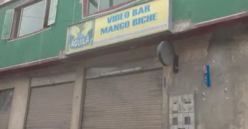 VIDEO BAR MANGO BICHE VIDEO BAR MANGO BICHE